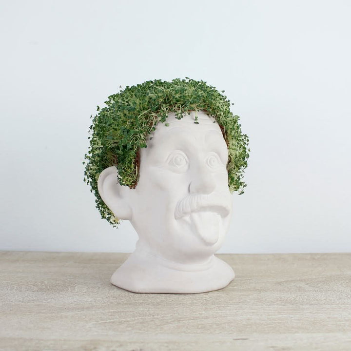 Chia Genie | Keramik Büste zum Chia Samen Züchten