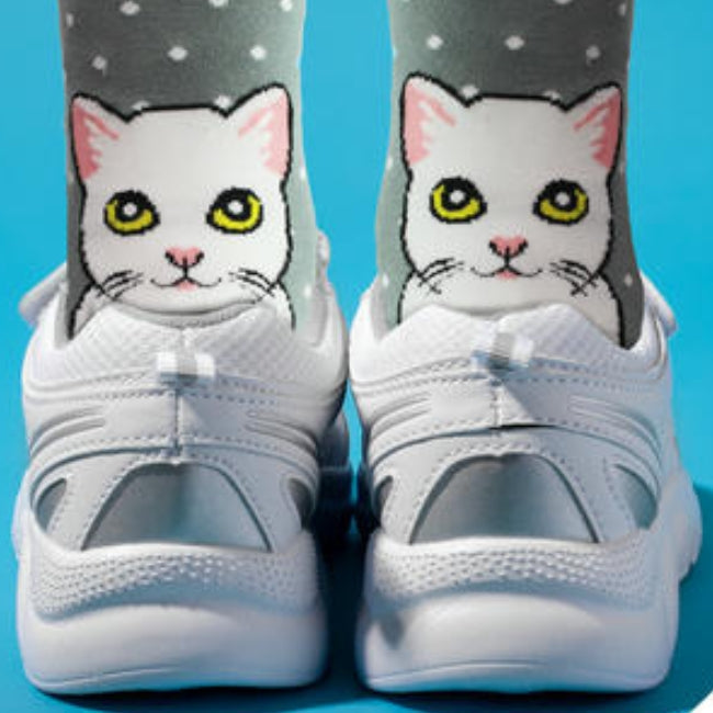 Katzen Socken