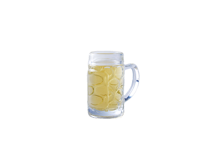 Beer Stein Shot Glasses Set of 4