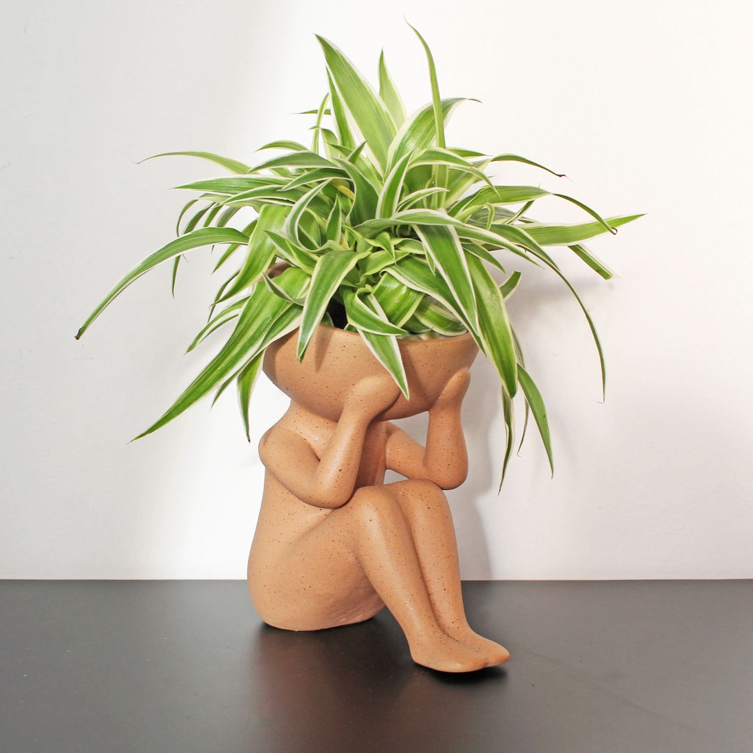 Nur Pflanzen im Kopf – Winkee Design