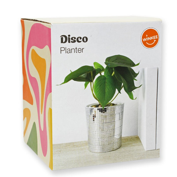 Disco Blumentopf